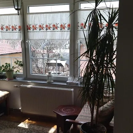Home Apartamento Vogošća