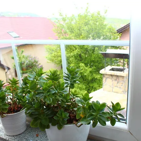 Home Apartamento *